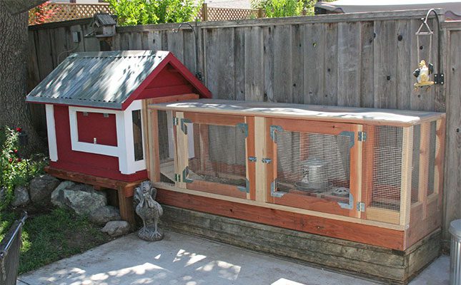 Chicken-coop-or-house