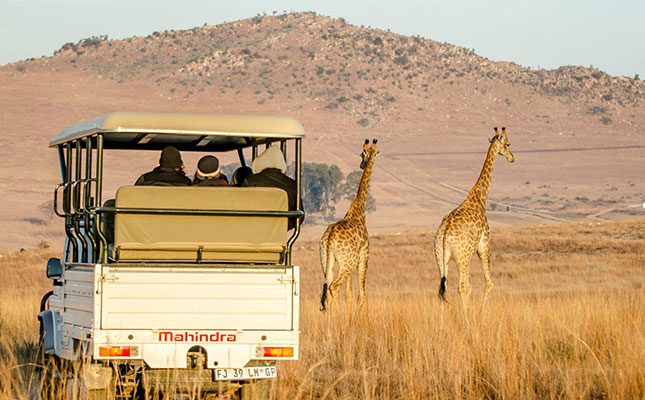 Mahindra-4×4-and-Giraffe-at-Cradle-Moon