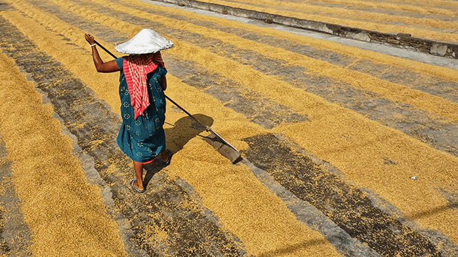 pexels-dibakar-roy-heat-famrworker